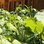 Hotel Sevkibey