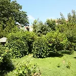 Hotel Sevkibey Alanya