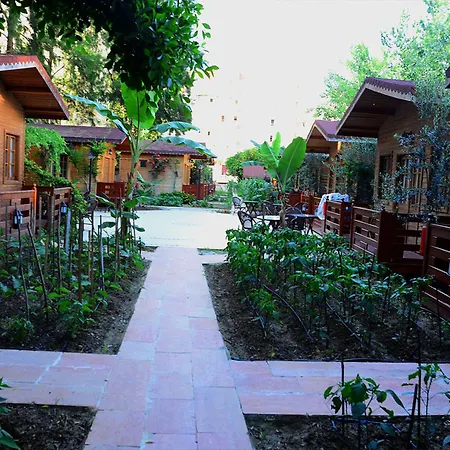 Sevkibey Hotel Alanya