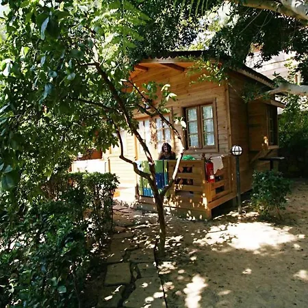 Sevkibey فندق