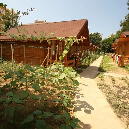 Sevkibey 3* 알란야