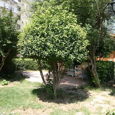 Sevkibey 3*