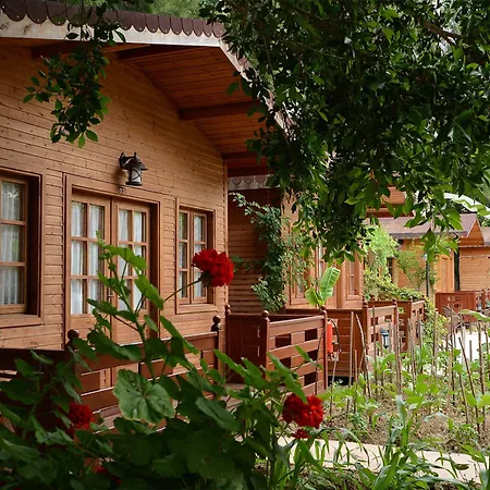 Sevkibey 3* Алания