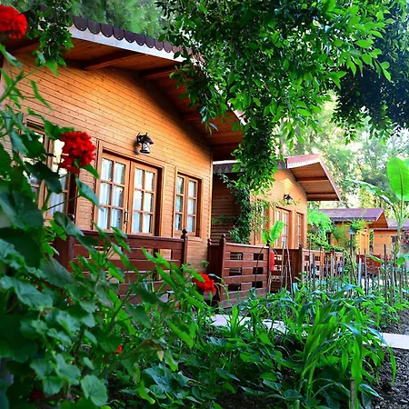 Ξενοδοχείο Sevkibey 3*