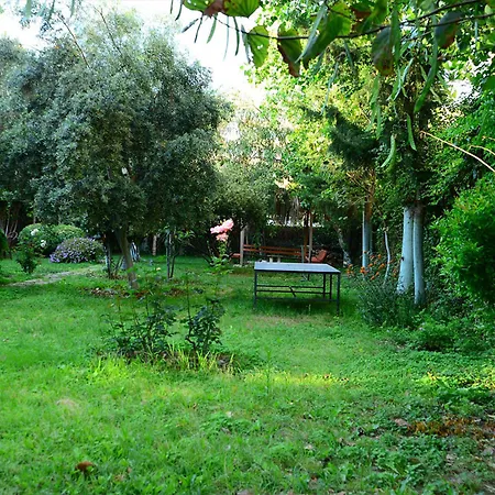 Ξενοδοχείο Sevkibey 3*
