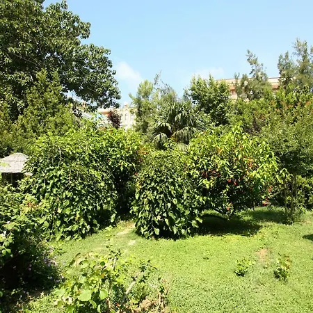 Hotel Sevkibey Alanya