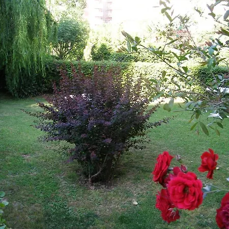 Sevkibey Αλάνια